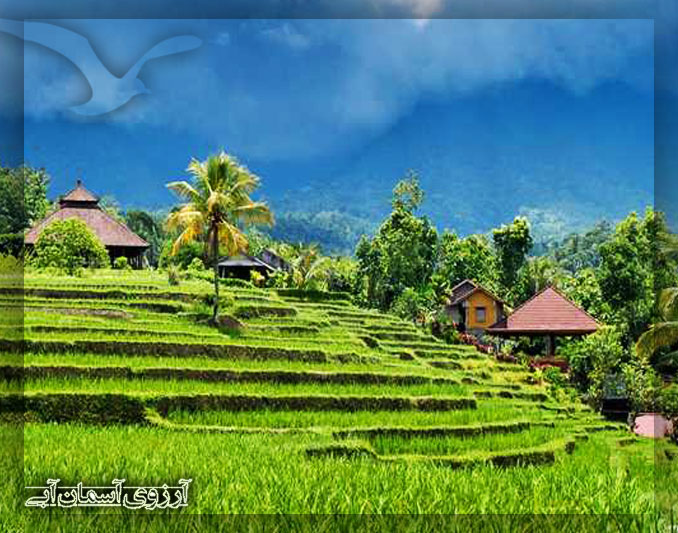 منطقه ابود بالی 