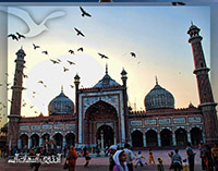 مسجد جامع دهلی