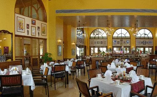 Fortune Acron Regina