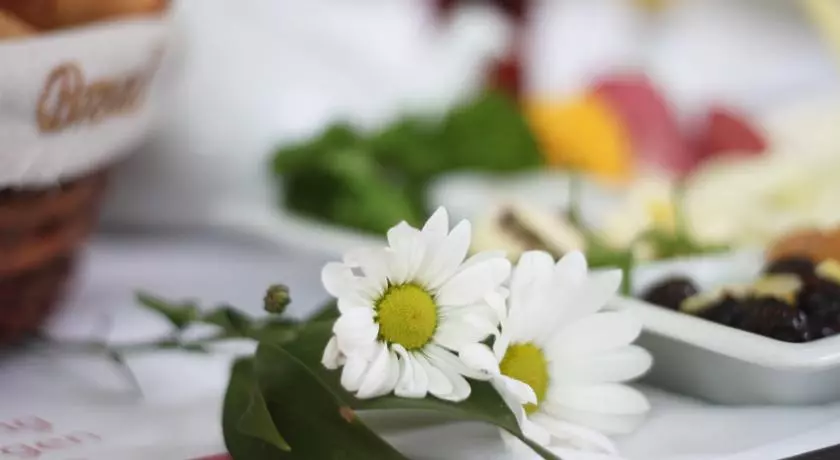 رامادا پلازا