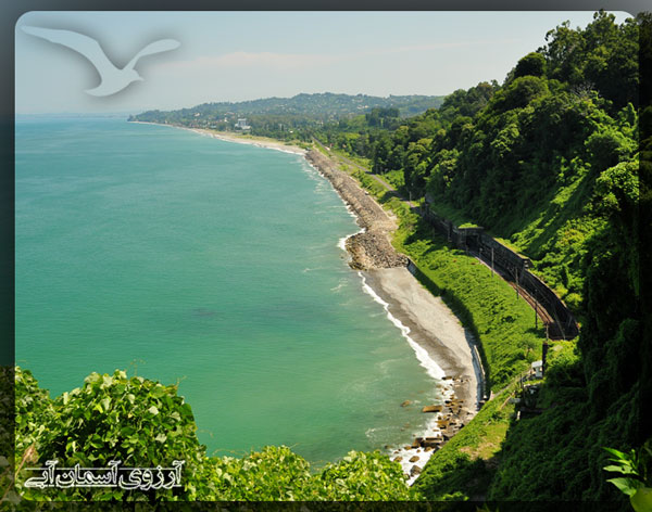 باغ گیاه شناسی باتومی