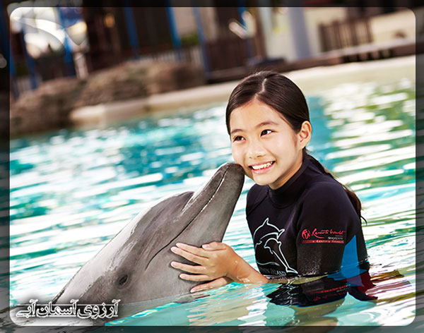 دریاچه دلفین های سنتوسا سنگاپور