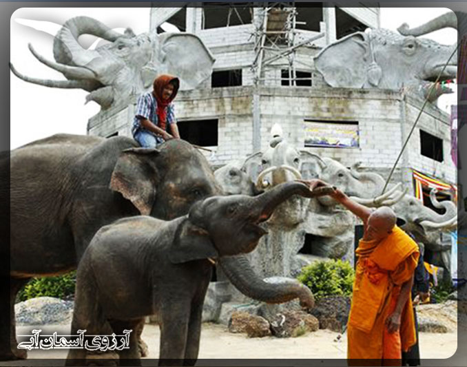 دهکده فیل های پاتایا