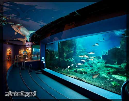 آکواریوم استانبول