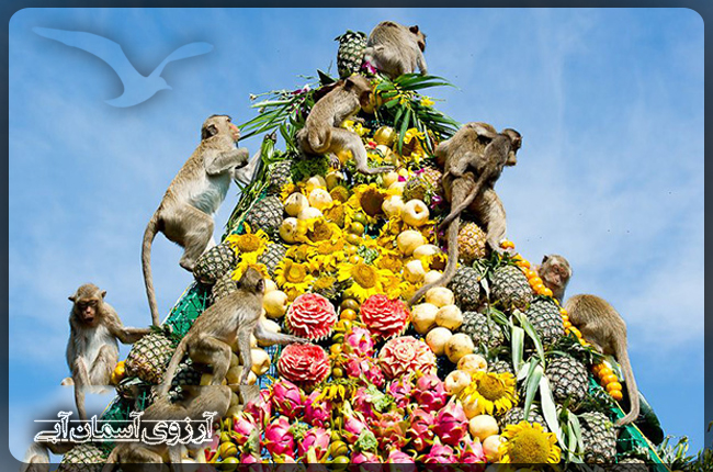 جشنواره میمون ها در لوپبوری تایلند
