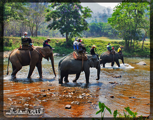 سافاری پوکت