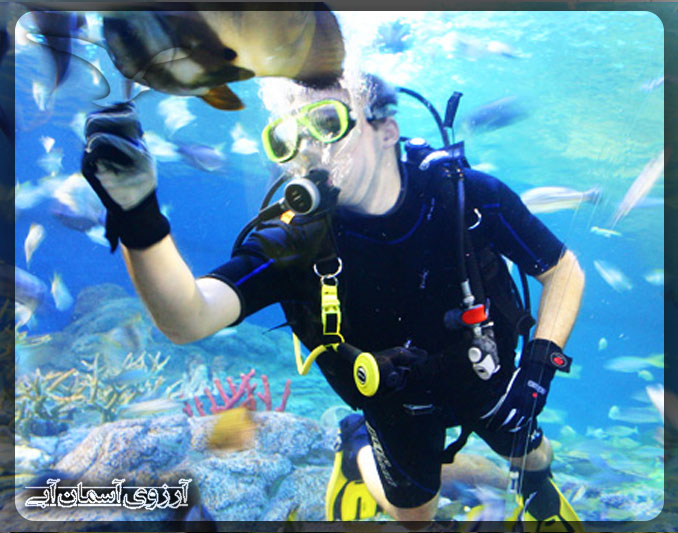 دنیای زیر آب پاتایا