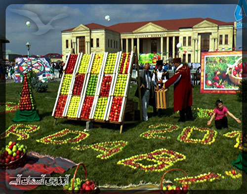 فستیوال سیب گوبا، آذربایجان