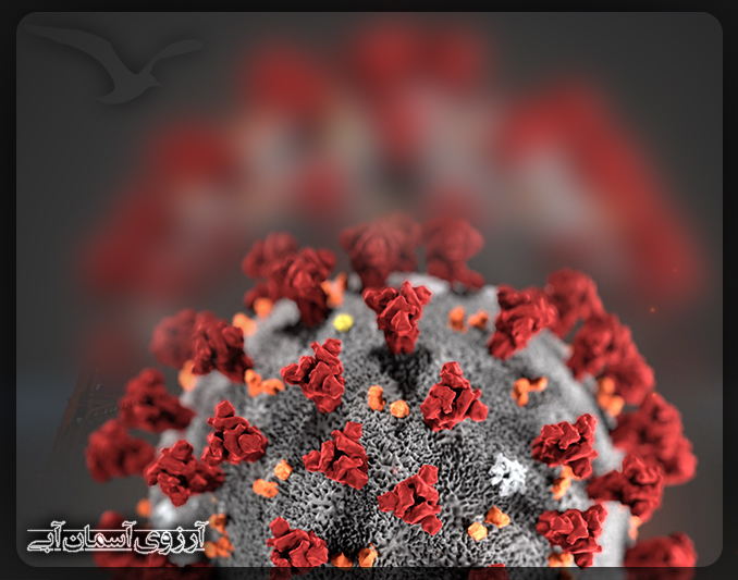 چه کشور هایی کرونا ندارند؟ (دولت ها چه راهکارهایی ارائه می دهند؟)