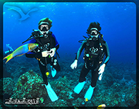 غواصی در هند