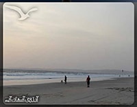 ساحل ماجوردا گوا