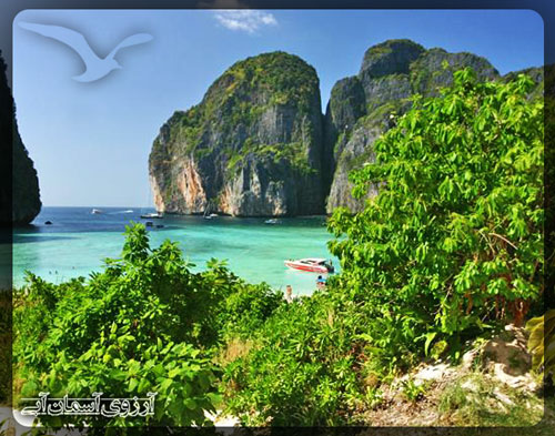 جزیره فی فی