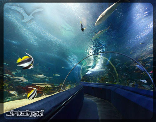 آکواریوم سی‌لایف استانبول