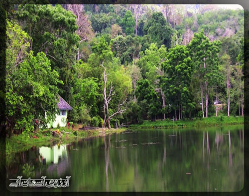 پارک حیات وحش خاو پرا تاو پوکت