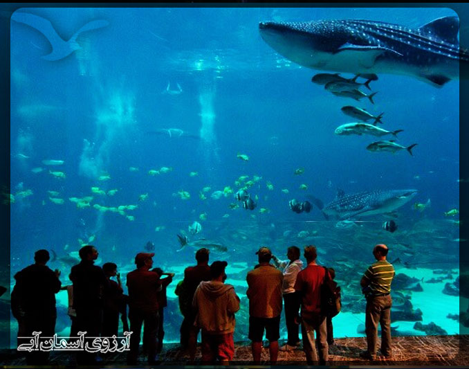 KualaLumpur-AquariumTwinTower