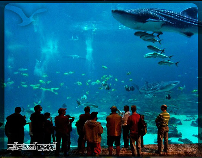 KualaLumpur-AquariumTwinTower