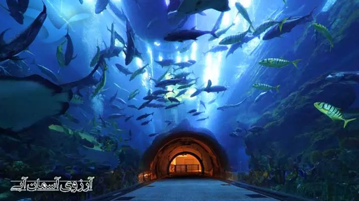 Asemanabi-آکواریوم-دبی-مال3