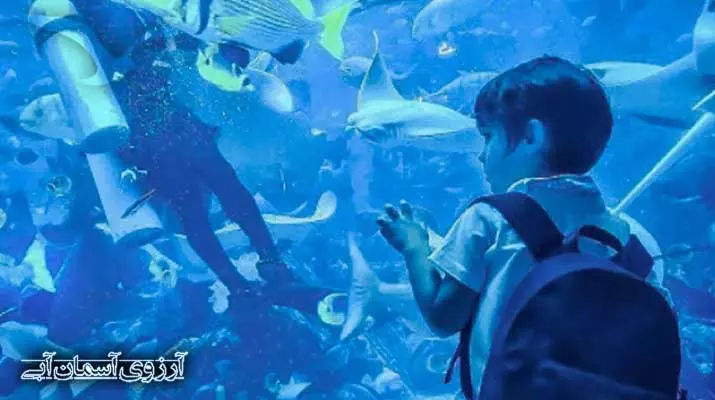 Asemanabi-آکواریوم-دبی-مال5