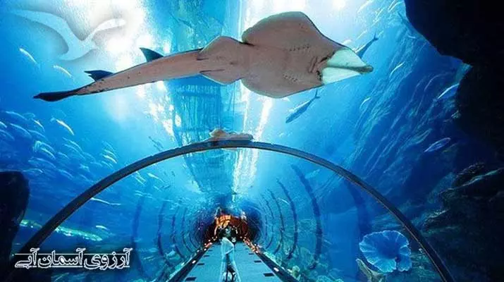 Asemanabi-آکواریوم-دبی-مال6