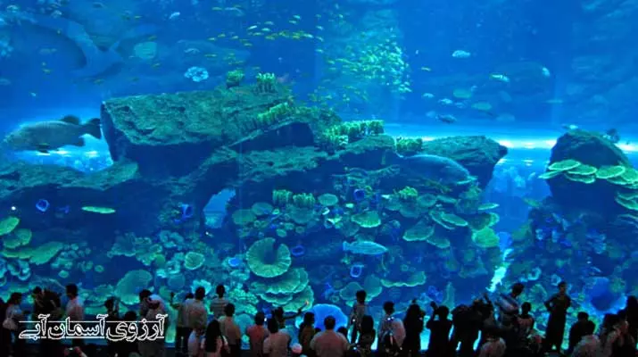 Asemanabi-آکواریوم-دبی-مال8