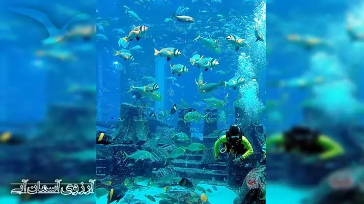 Asemanabi-آکواریوم-دبی-مال9