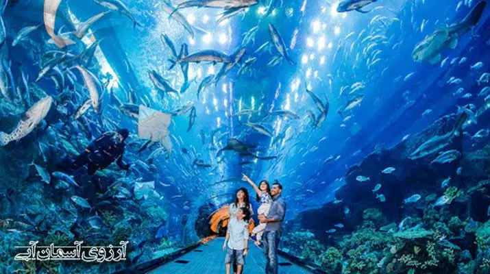 Asemanabi--آکواریوم-دبی-مال