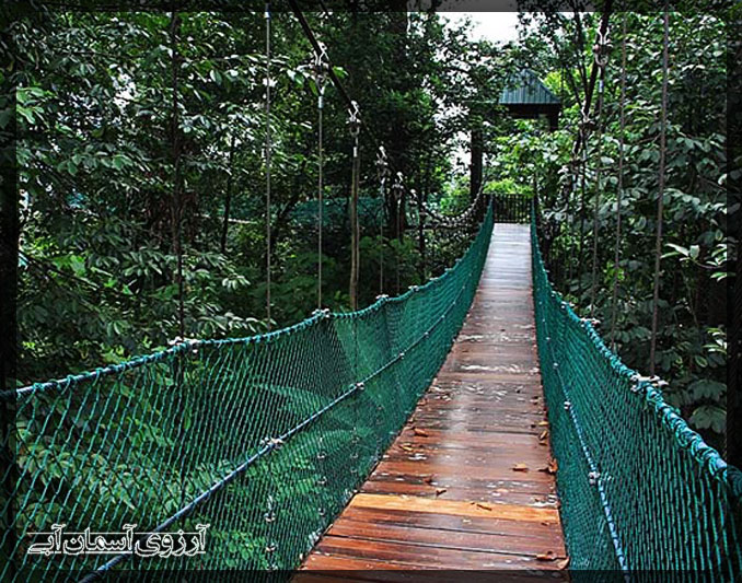 bukitNanas-malaysia