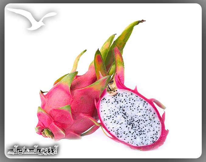 dragonfruit