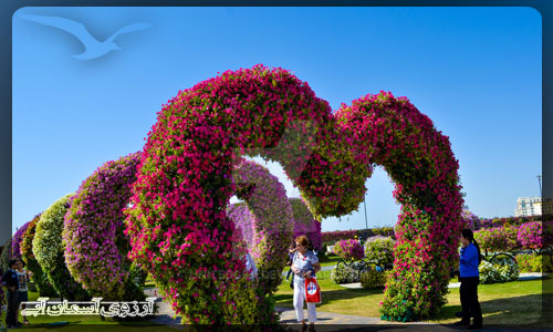 باغ گل معجزه دبی _ آسمان آبی