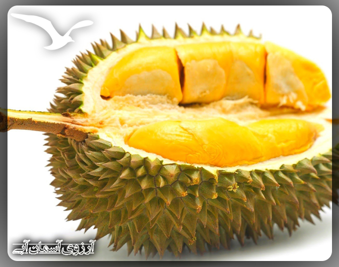 durian