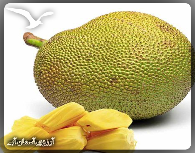 jackfruit