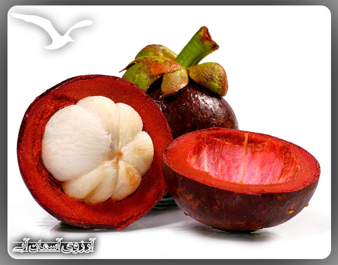 mangosteen