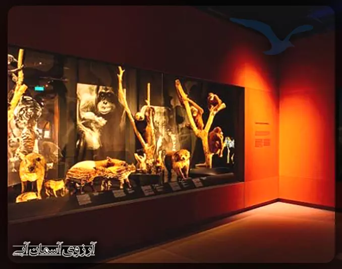 موزه-تاریخ-سنگاپور