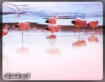 بزرگترین آینه جهان کجاست ؟