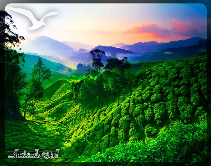 ارتقاعات کامرون کوالالامپور _ آسمان آبی