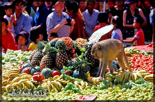 جشنواره-میمون-ها-در-تایلند