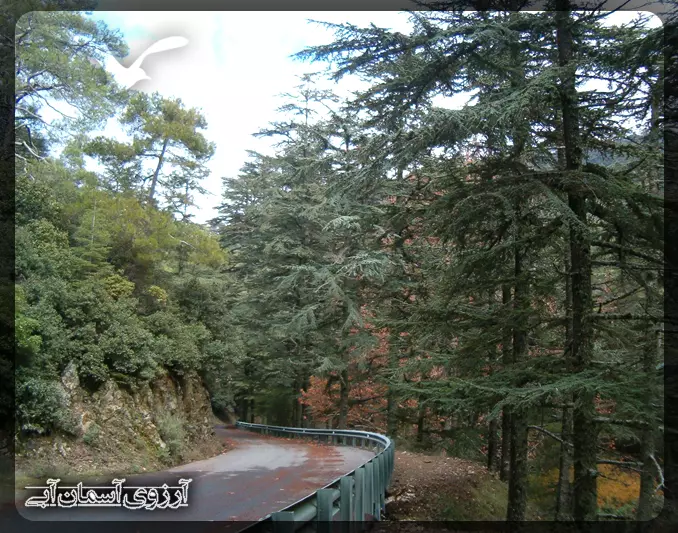 دره-سرو