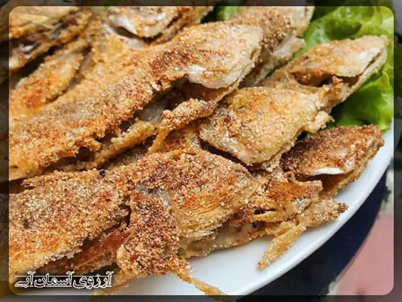 مارسیل4