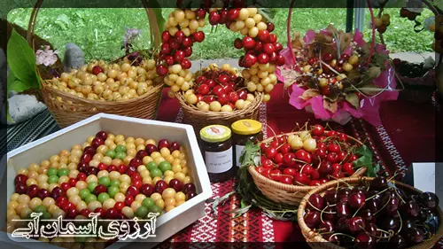 معرفی-فستیوال-جاز-استانبول