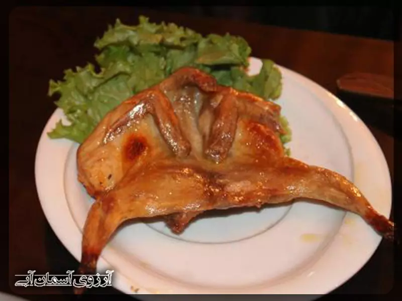 مگرول3