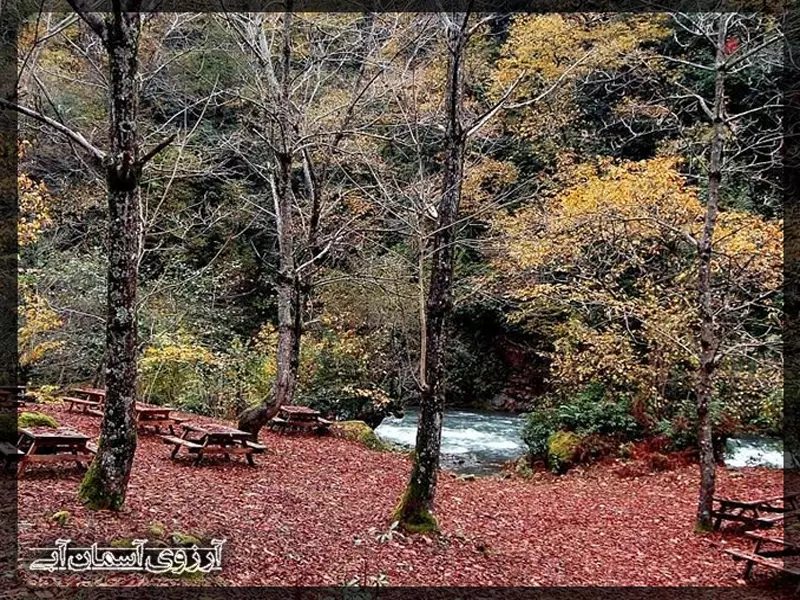 پارک-ملی7