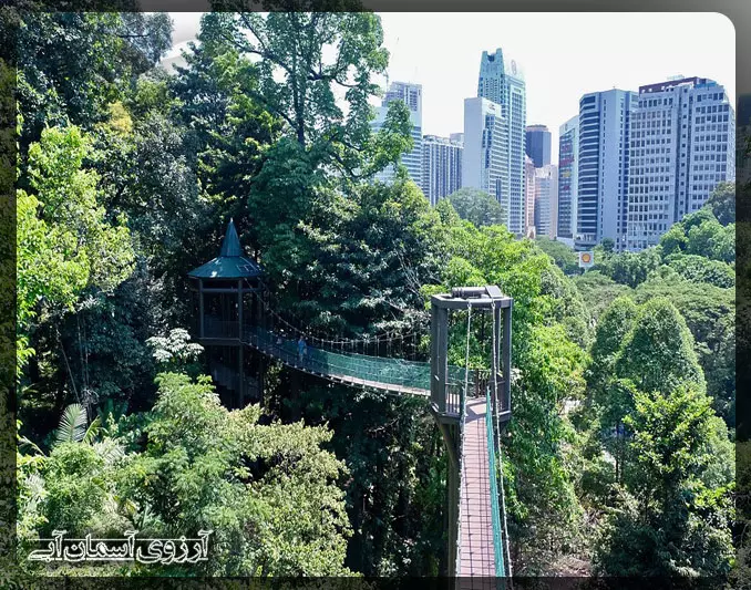 پل معلق پارک جنگلی اکو کوالالامپور _ آسمان آبی