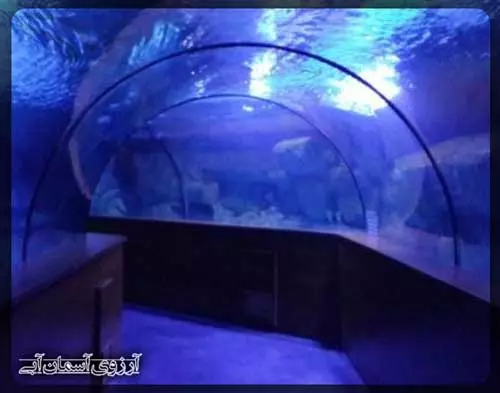 آکواریوم-آکوا-وگا-آنکارا-ترکیه
