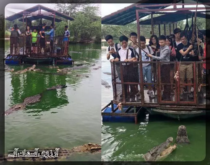 CrocodilePark