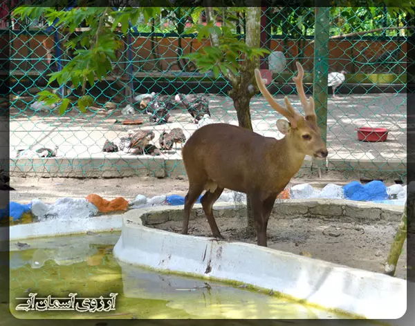 Wildlife-Park