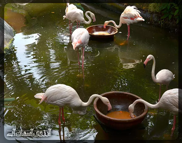 Langkawi-Wildlife-Park