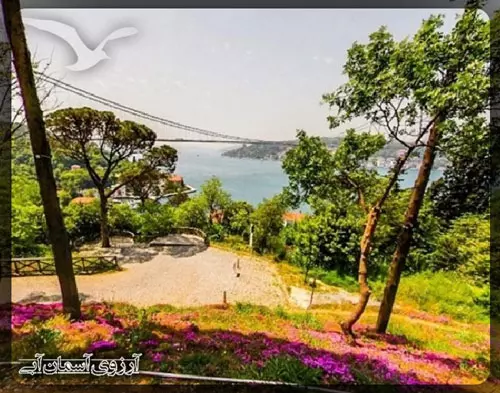 پارک-طبیعت-میحرابات-استانبول-ترکیه