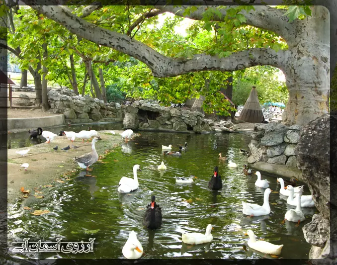 باغ -حش-بلگراد