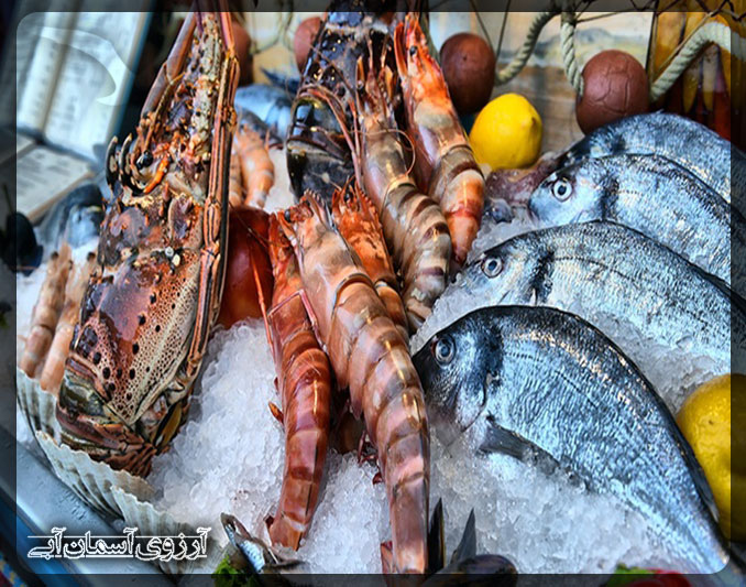 بازار ماهی دبی _ آسمان آبی