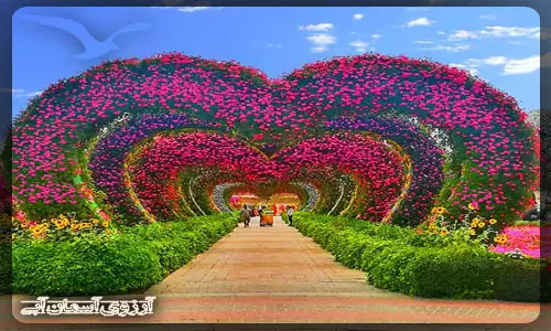 باغ گل معجزه دبی _ آسمان آبی